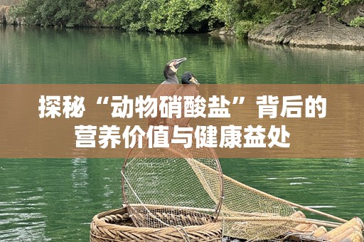 探秘“动物硝酸盐”背后的营养价值与健康益处