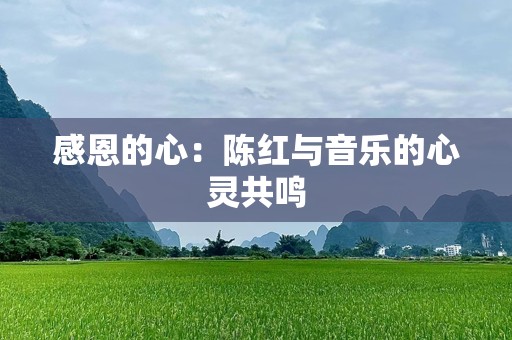 感恩的心：陈红与音乐的心灵共鸣
