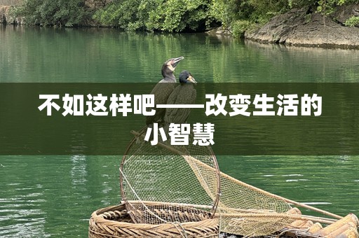 不如这样吧——改变生活的小智慧