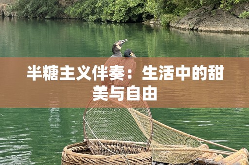 半糖主义伴奏：生活中的甜美与自由