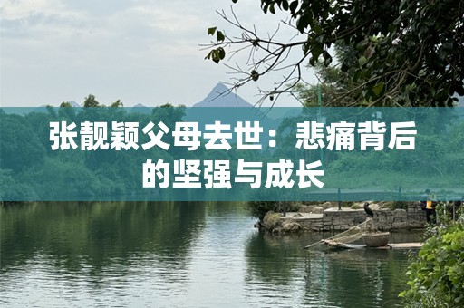张靓颖父母去世：悲痛背后的坚强与成长
