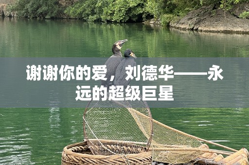 谢谢你的爱，刘德华——永远的超级巨星