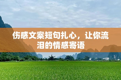 伤感文案短句扎心，让你流泪的情感寄语