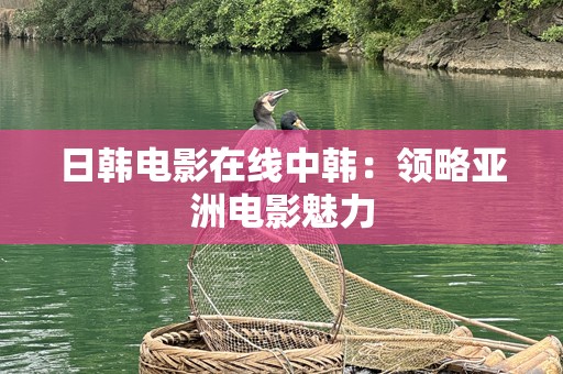 日韩电影在线中韩：领略亚洲电影魅力