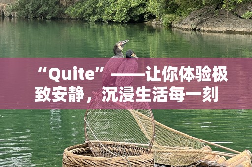 “Quite”——让你体验极致安静，沉浸生活每一刻