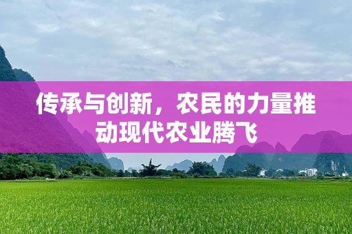 传承与创新，农民的力量推动现代农业腾飞