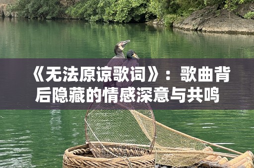 《无法原谅歌词》：歌曲背后隐藏的情感深意与共鸣