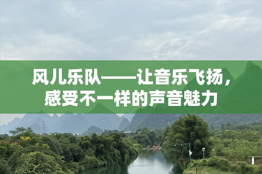 风儿乐队——让音乐飞扬，感受不一样的声音魅力