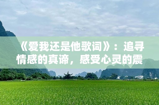 《爱我还是他歌词》：追寻情感的真谛，感受心灵的震撼