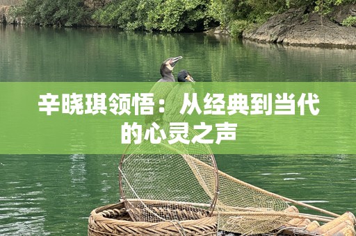 辛晓琪领悟：从经典到当代的心灵之声