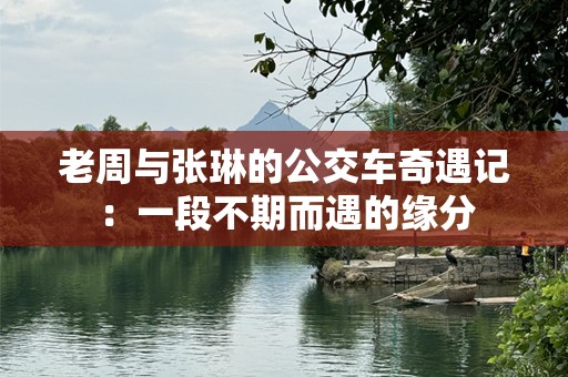 老周与张琳的公交车奇遇记：一段不期而遇的缘分