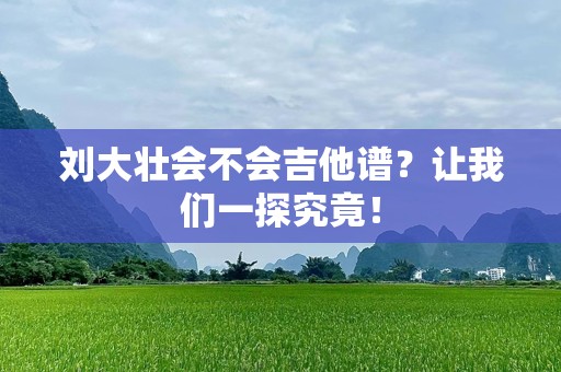 刘大壮会不会吉他谱？让我们一探究竟！