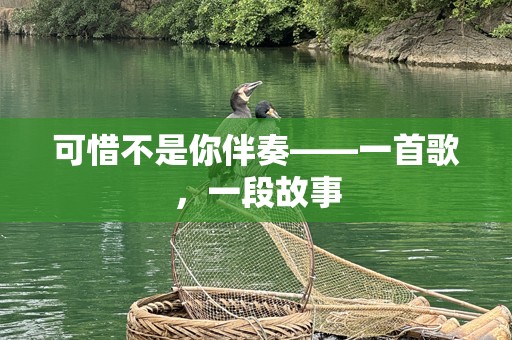 可惜不是你伴奏——一首歌，一段故事