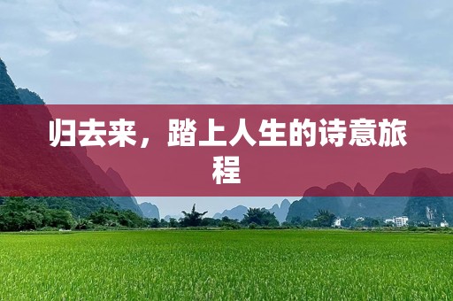 归去来，踏上人生的诗意旅程