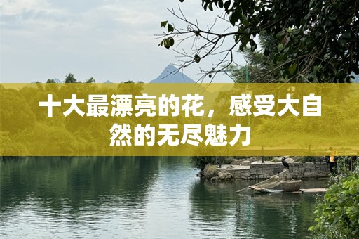 十大最漂亮的花，感受大自然的无尽魅力
