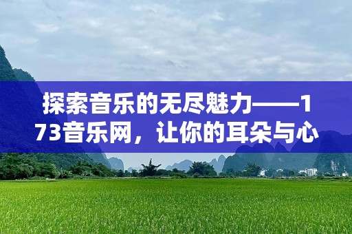 探索音乐的无尽魅力——173音乐网，让你的耳朵与心灵共同飞翔