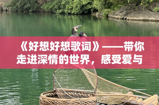 《好想好想歌词》——带你走进深情的世界，感受爱与思念的旋律