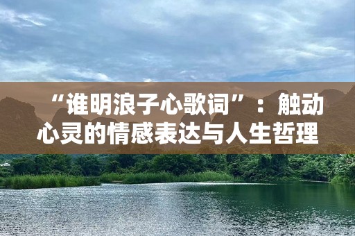 “谁明浪子心歌词”：触动心灵的情感表达与人生哲理