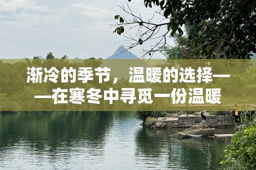 渐冷的季节，温暖的选择——在寒冬中寻觅一份温暖