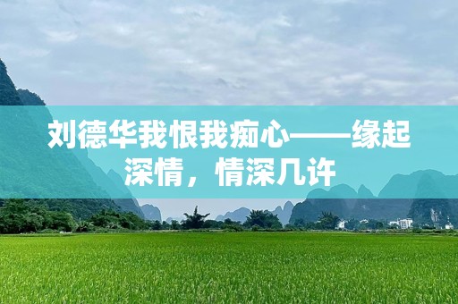 刘德华我恨我痴心——缘起深情，情深几许