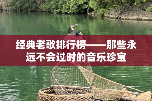经典老歌排行榜——那些永远不会过时的音乐珍宝