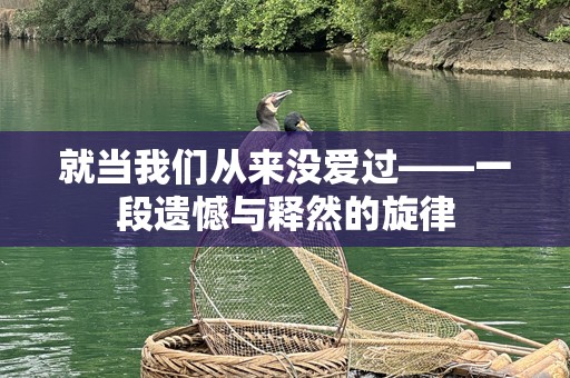 就当我们从来没爱过——一段遗憾与释然的旋律